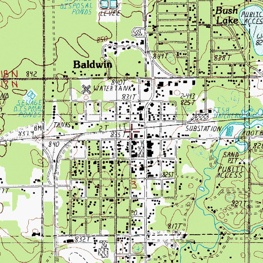 Topographic Map of Village of Baldwin, MI