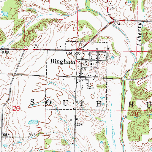 Topographic Map of Village of Bingham, IL