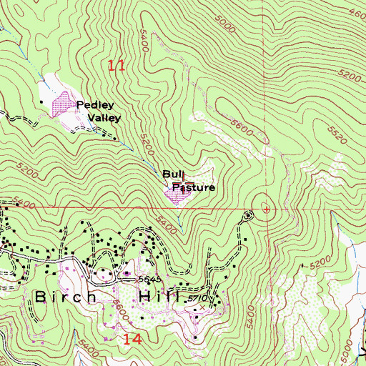 Topographic Map of Bull Pasture, CA