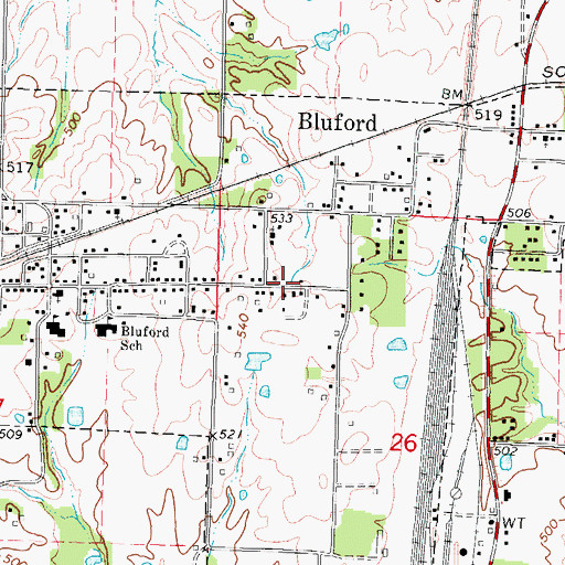 Topographic Map of Village of Bluford, IL