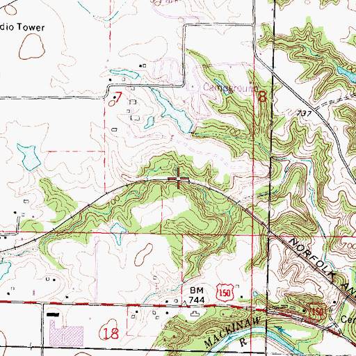 Topographic Map of Village of Goodfield, IL