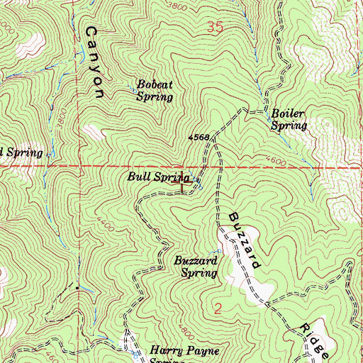 Topographic Map of Bull Spring, CA