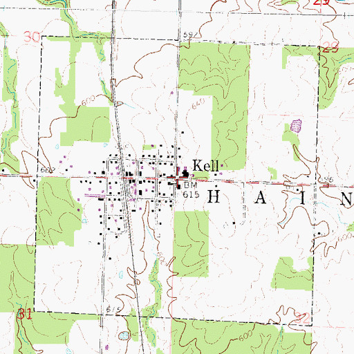 Topographic Map of Village of Kell, IL