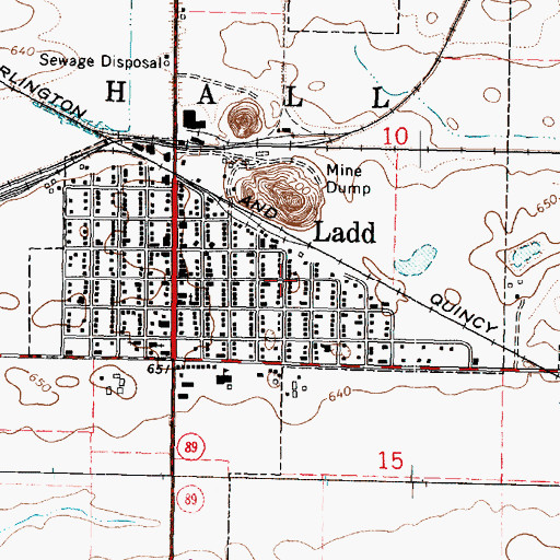 Topographic Map of Village of Ladd, IL