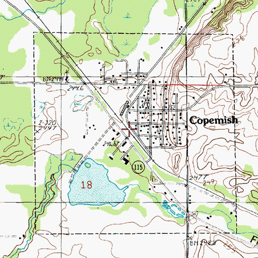 Topographic Map of Village of Copemish, MI
