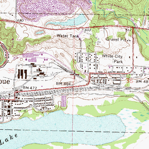 Topographic Map of Village of De Pue, IL