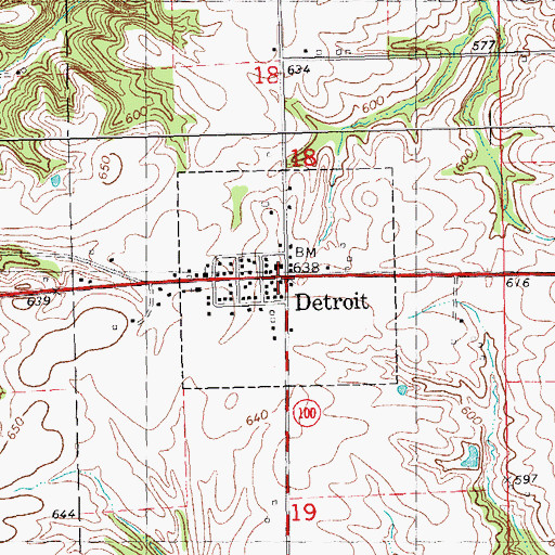 Topographic Map of Village of Detroit, IL