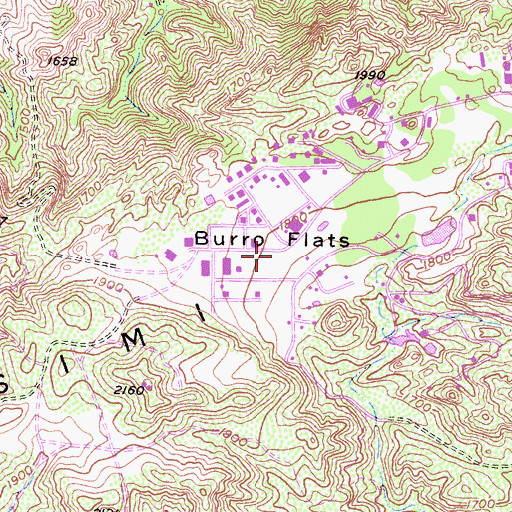 Topographic Map of Burro Flats, CA