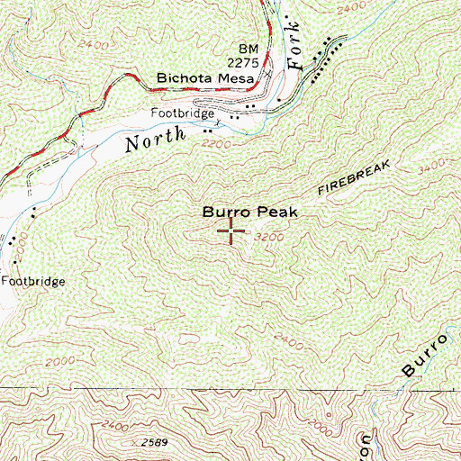 Topographic Map of Burro Peak, CA