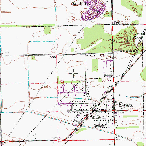 Topographic Map of Village of Essex, IL