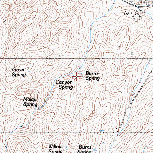 Topographic Map of Burro Spring, CA