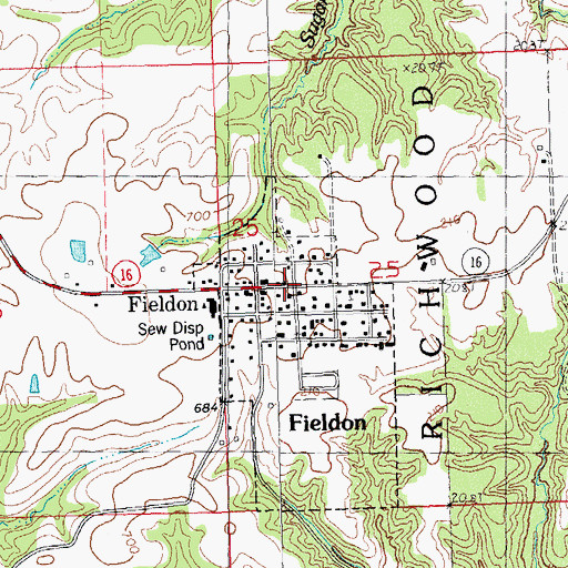 Topographic Map of Village of Fieldon, IL