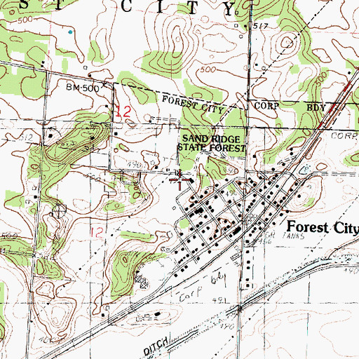 Topographic Map of Village of Forest City, IL