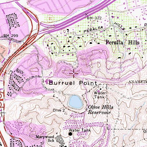 Topographic Map of Burruel Point, CA
