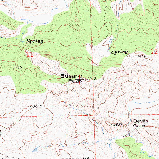 Topographic Map of Busane Peak, CA