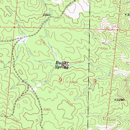 Topographic Map of Butler Spring, CA