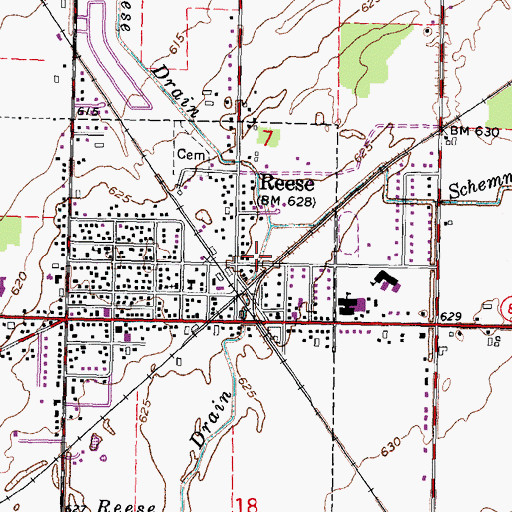 Topographic Map of Village of Reese, MI