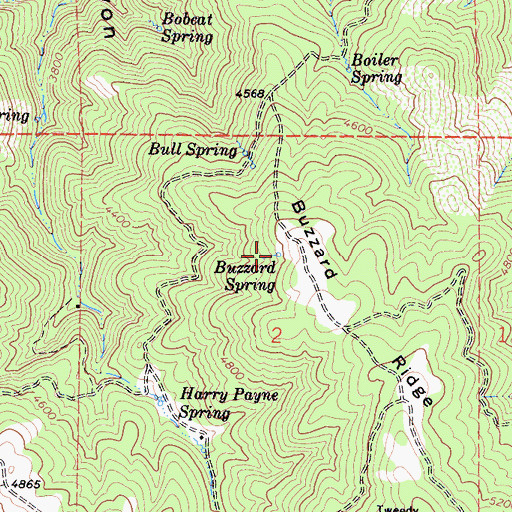 Topographic Map of Buzzard Spring, CA
