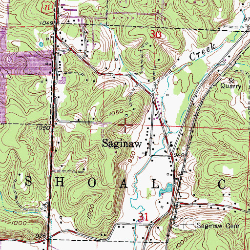 Topographic Map of Village of Saginaw, MO