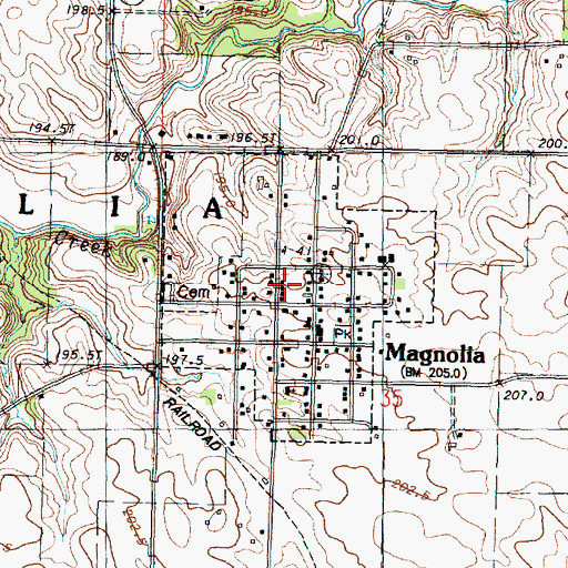 Topographic Map of Village of Magnolia, IL
