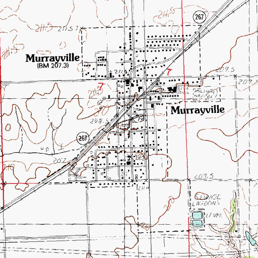 Topographic Map of Village of Murrayville, IL