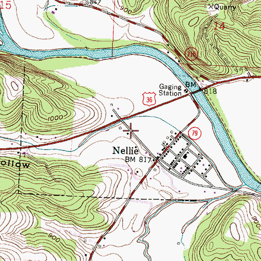 Topographic Map of Village of Nellie, OH