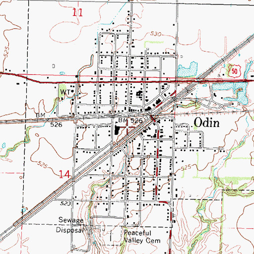 Topographic Map of Village of Odin, IL