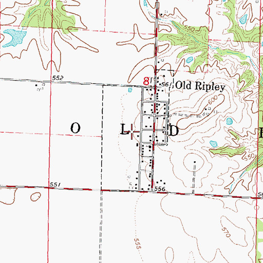 Topographic Map of Village of Old Ripley, IL