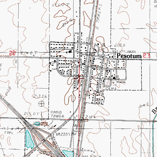 Topographic Map of Village of Pesotum, IL