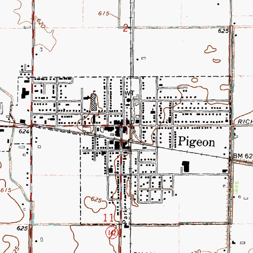 Topographic Map of Village of Pigeon, MI