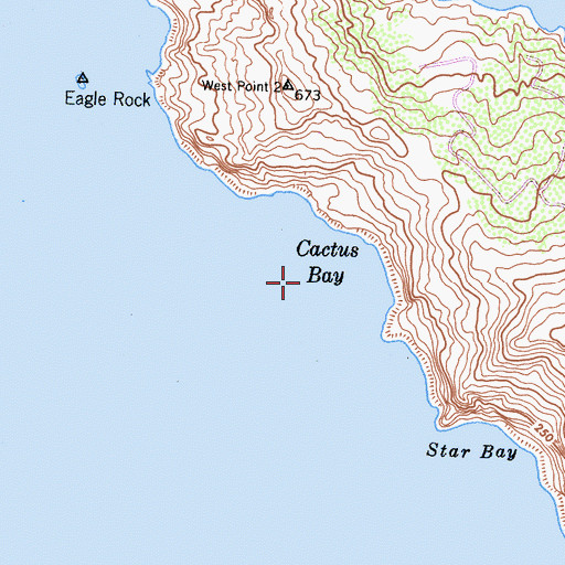 Topographic Map of Cactus Bay, CA