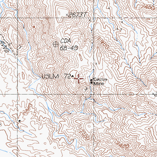 Topographic Map of Cactus Mine, CA
