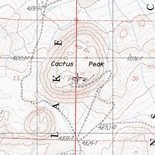 Topographic Map of Cactus Peak, CA