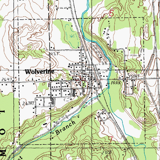 Topographic Map of Village of Wolverine, MI