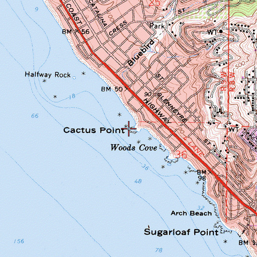 Topographic Map of Cactus Point, CA