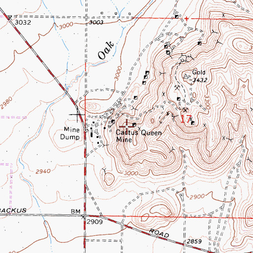 Topographic Map of Cactus Queen Mine, CA