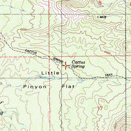 Topographic Map of Cactus Spring, CA