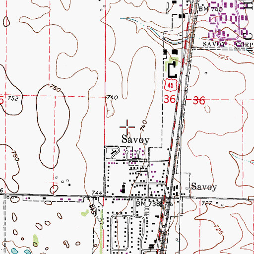 Topographic Map of Village of Savoy, IL
