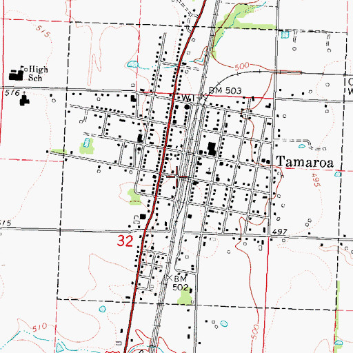 Topographic Map of Village of Tamaroa, IL