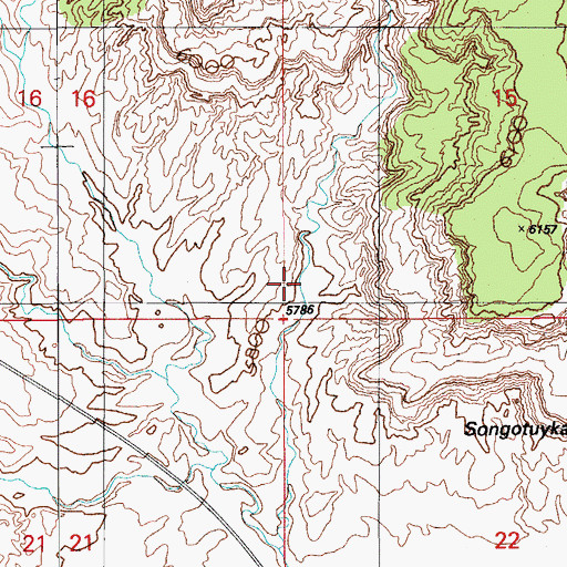 Topographic Map of Hopi Reservation, AZ