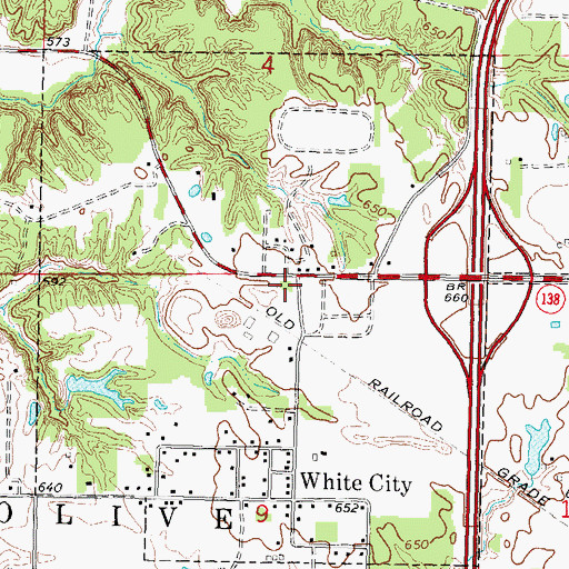 Topographic Map of Village of White City, IL
