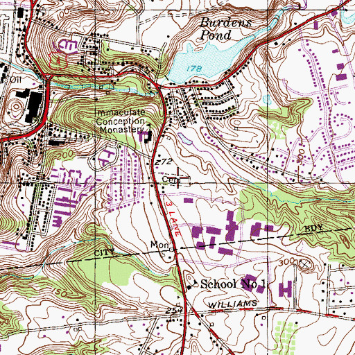 Topographic Map of Saint Nicholas Cemetery, NY
