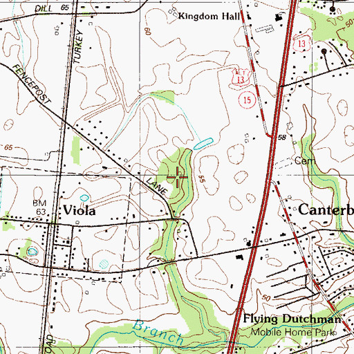 Topographic Map of Viola Woods, DE