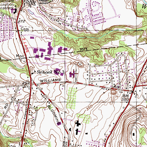 Topographic Map of Williams Hall, NY
