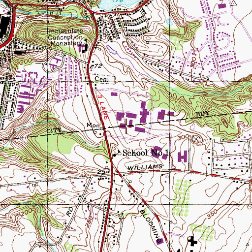 Topographic Map of Brahan Hall, NY