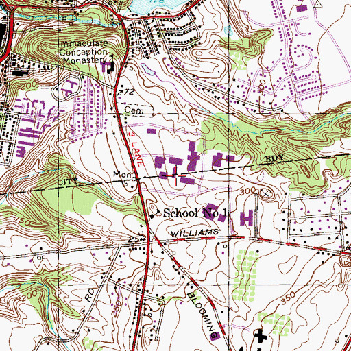 Topographic Map of Fitzgibbons Health Technologies Center, NY