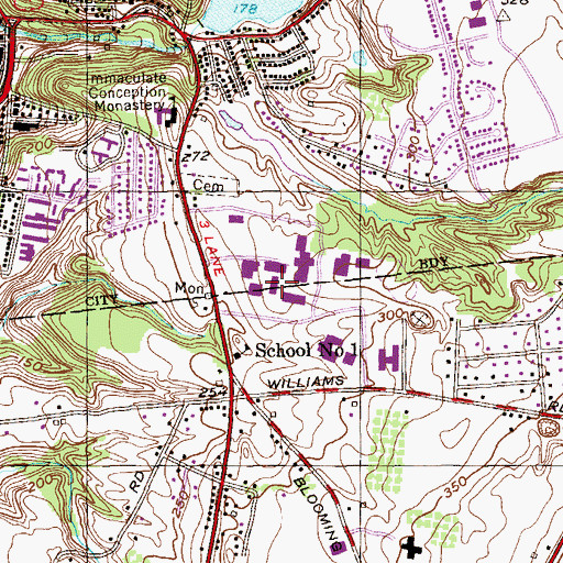 Topographic Map of Amstuz Science Hall, NY