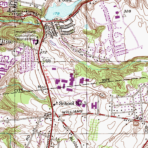 Topographic Map of Maureen Stapleton Theatre, NY
