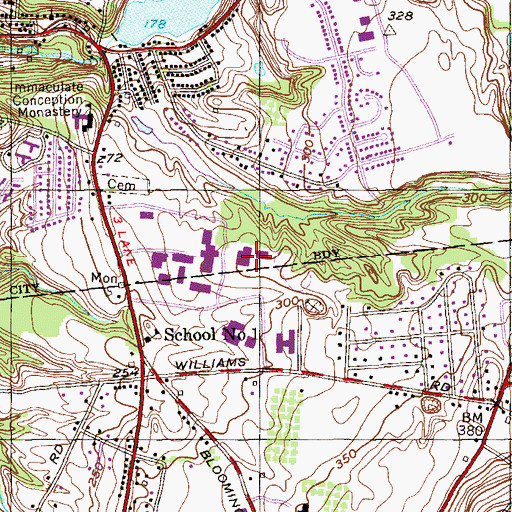 Topographic Map of Hudson Hall, NY