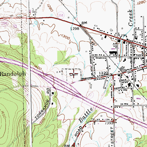 Topographic Map of Randolph Cemetery, NY